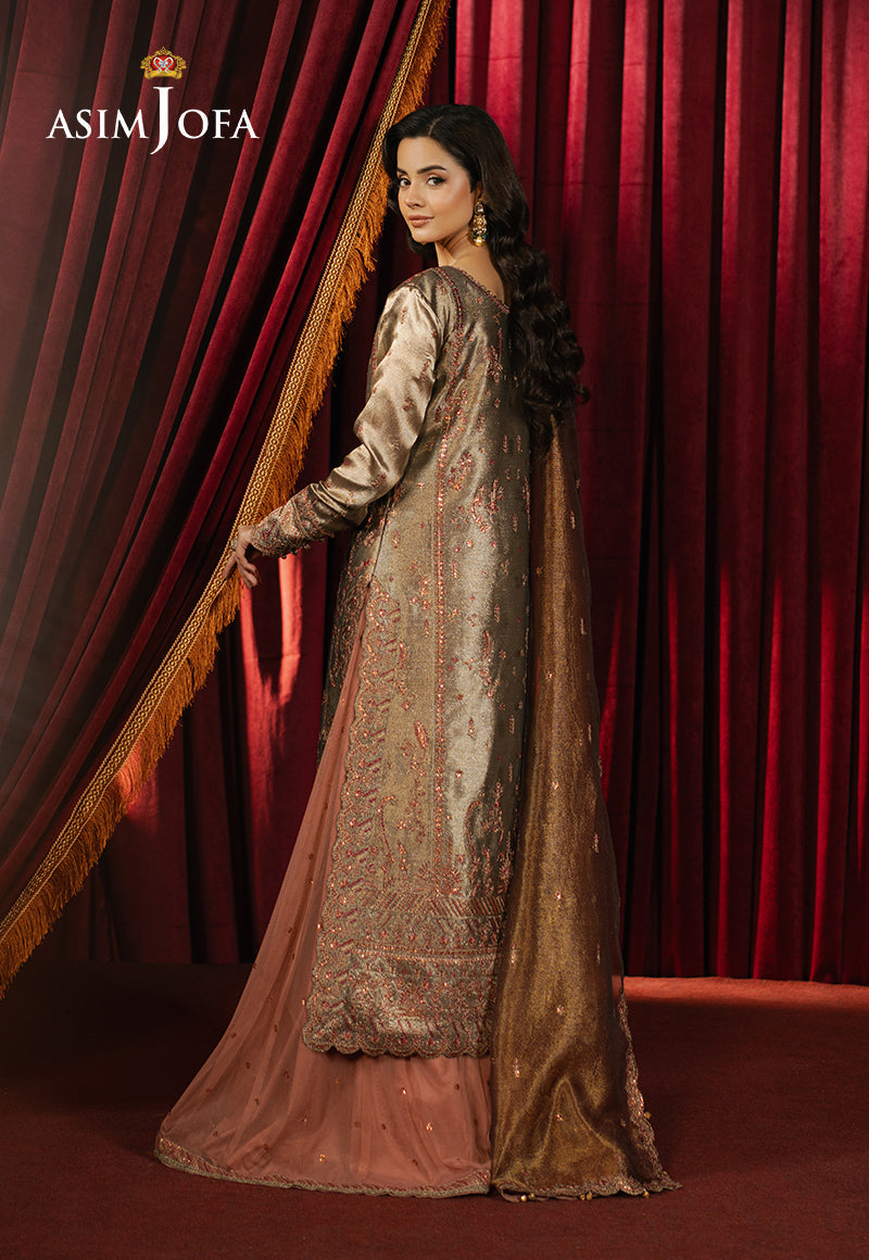 3PC-EMBROIDERED ZARI TISSUE SUIT